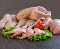 С начала года экспорт мясной и молочной продукции увеличился на 20% - Агроэкспорт