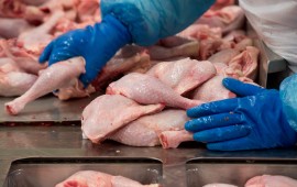Улучшение качества мяса птицы