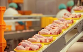 Прибыльный бизнес с нуля: переработка мяса птицы